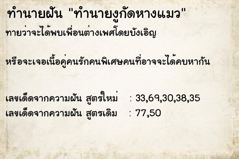 ทำนายฝันทำนายงูกัดหางแมว ทำนายฝันทำนายฝันทำนายงูกัดหางแมว