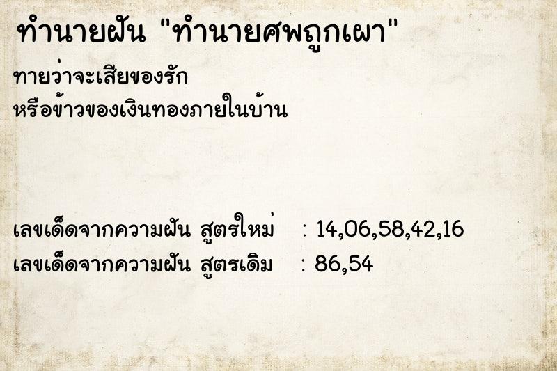 ทำนายฝันทำนายศพถูกเผา ทำนายฝันทำนายฝันทำนายศพถูกเผา
