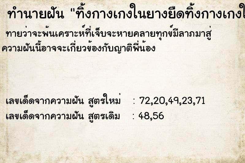 ทำนายฝันทิ้งกางเกงในยางยืดทิ้งกางเกงในยางยืด ทำนายฝันทำนายฝันทิ้งกางเกงในยางยืดทิ้งกางเกงในยางยืด