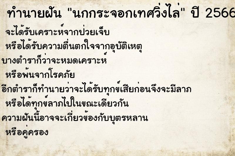 ทำนายฝัน นกกระจอกเทศวิ่งไล่