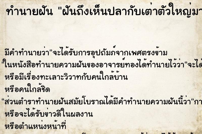 ทำนายฝันฝันถึงเห็นปลากับเต่าตัวใหญ่มาก ทำนายฝันทำนายฝันฝันถึงเห็นปลากับเต่าตัวใหญ่มาก