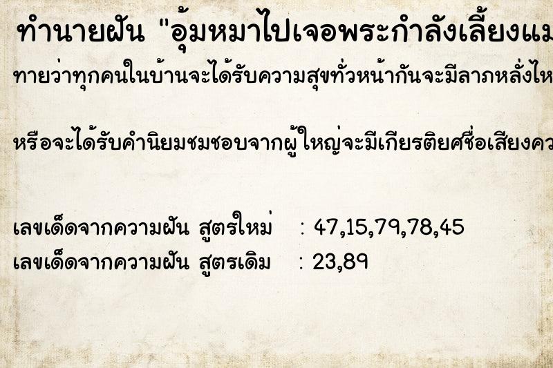 ทำนายฝันทำนายฝันอุ้มหมาไปเจอพระกำลังเลี้ยงแมว