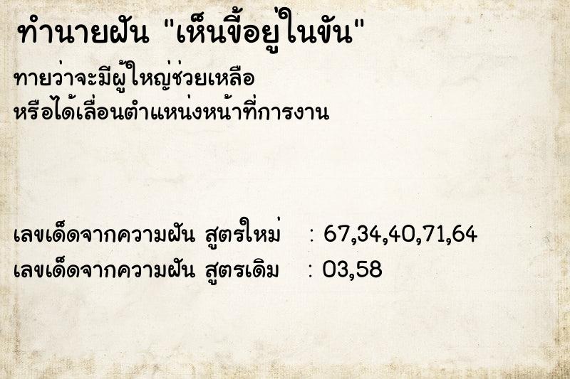 ทำนายฝันทำนายฝันเห็นขี้อยู่ในขัน