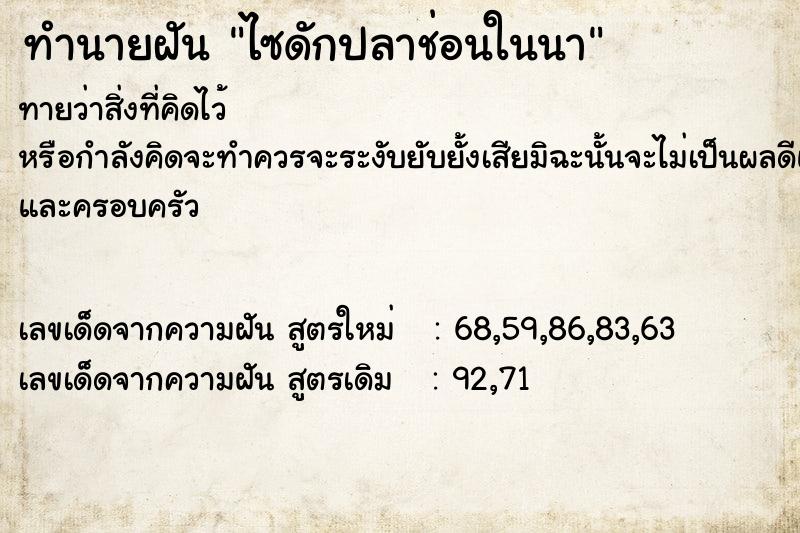 ทำนายฝัน ไซดักปลาช่อนในนา ทำนายฝัน ไซดักปลาช่อนในนา