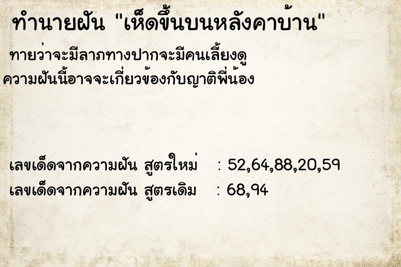 ทำนายฝัน เห็ดขึ้นบนหลังคาบ้าน