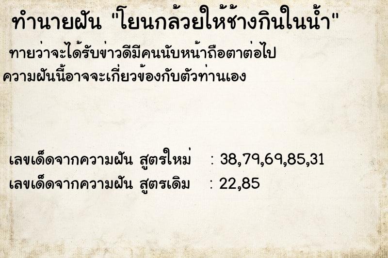 ทำนายฝันทำนายฝันโยนกล้วยให้ช้างกินในน้ำ
