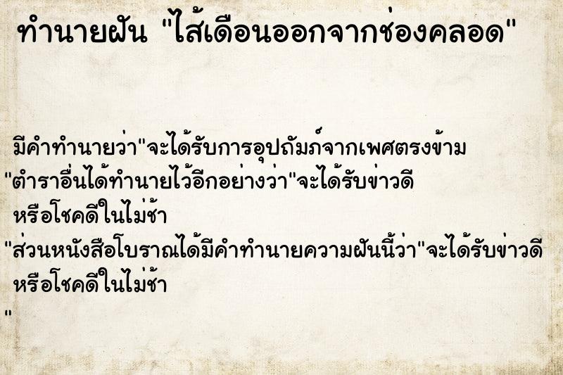 ทำนายฝัน ไส้เดือนออกจากช่องคลอด ทำนายฝัน ไส้เดือนออกจากช่องคลอด