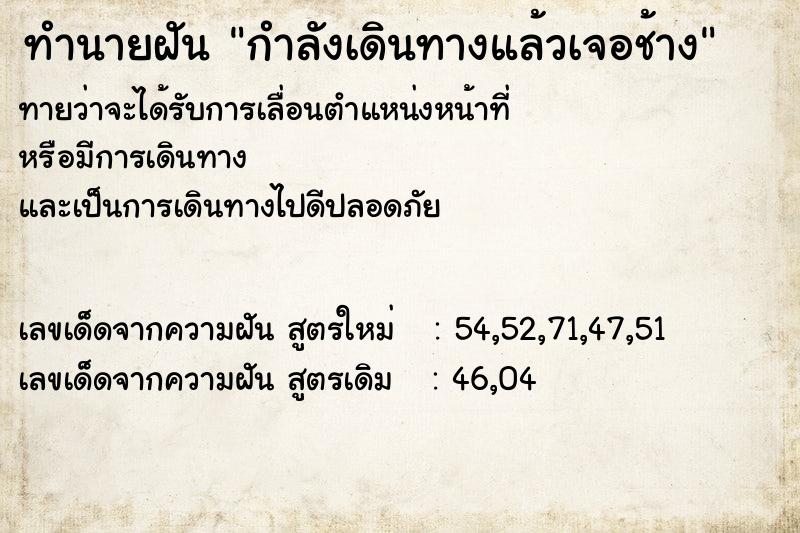ทำนายฝันกำลังเดินทางแล้วเจอช้าง ทำนายฝันทำนายฝันกำลังเดินทางแล้วเจอช้าง
