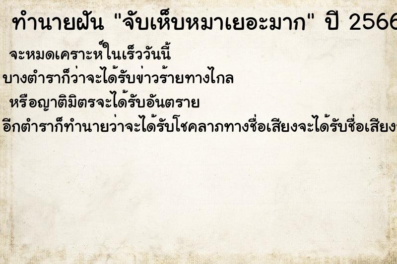 ทำนายฝัน จับเห็บหมาเยอะมาก ทำนายฝัน จับเห็บหมาเยอะมาก