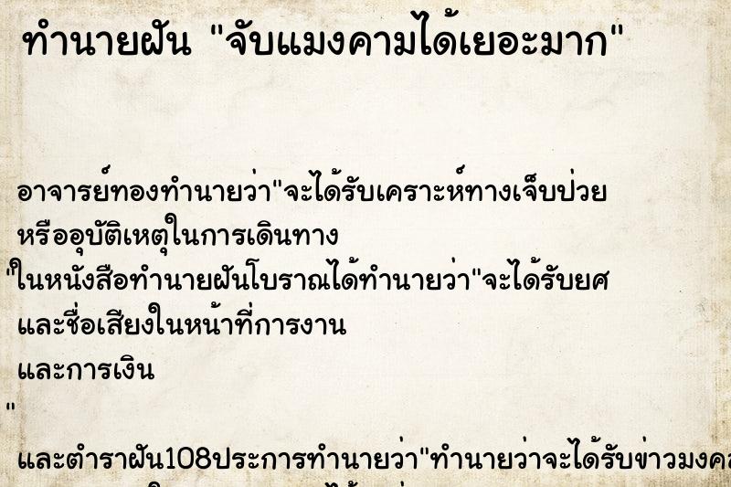 ทำนายฝัน จับแมงคามได้เยอะมาก ทำนายฝัน จับแมงคามได้เยอะมาก