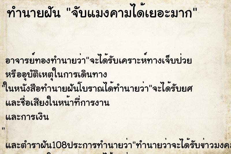 ทำนายฝัน จับแมงคามได้เยอะมาก ตำราโบราณ แม่นที่สุดในโลก