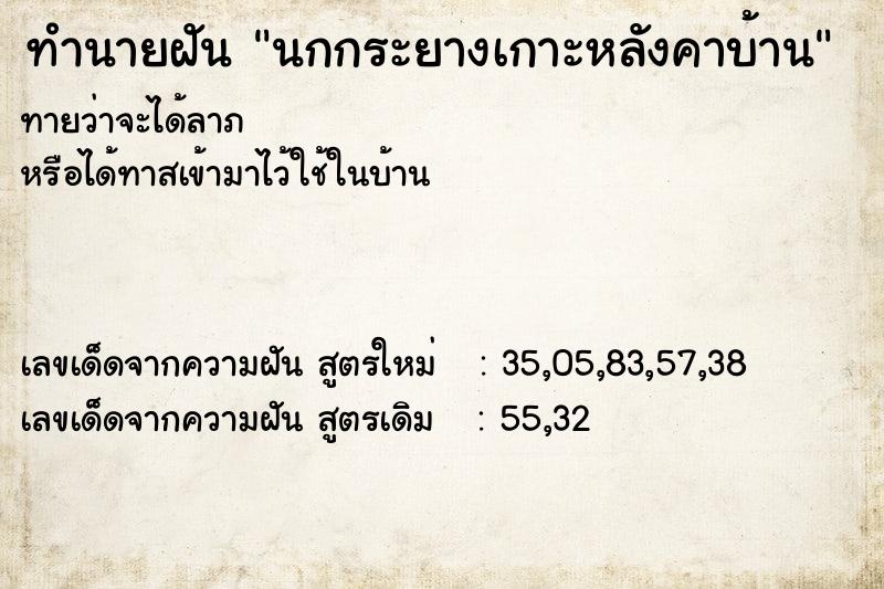 ทำนายฝันนกกระยางเกาะหลังคาบ้าน ทำนายฝันทำนายฝันนกกระยางเกาะหลังคาบ้าน
