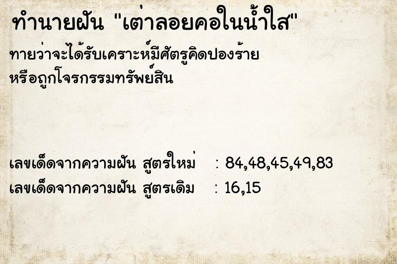 ทำนายฝันเต่าลอยคอในน้ำใส ทำนายฝันทำนายฝันเต่าลอยคอในน้ำใส