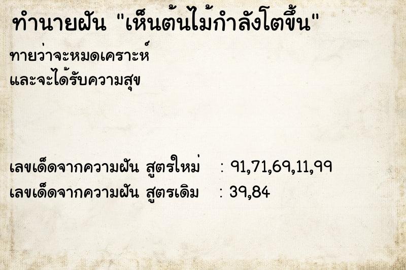 ทำนายฝัน เห็นต้นไม้กำลังโตขึ้น ตำราโบราณ แม่นที่สุดในโลก