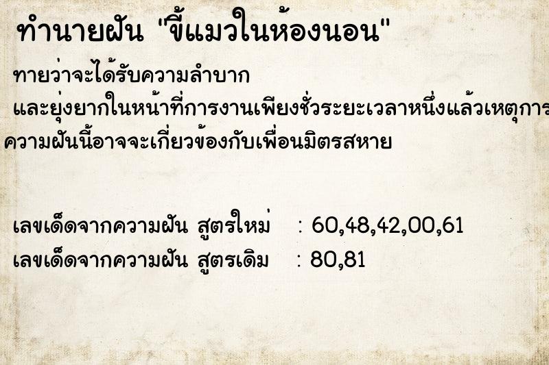 ทำนายฝันขี้แมวในห้องนอน ทำนายฝันทำนายฝันขี้แมวในห้องนอน