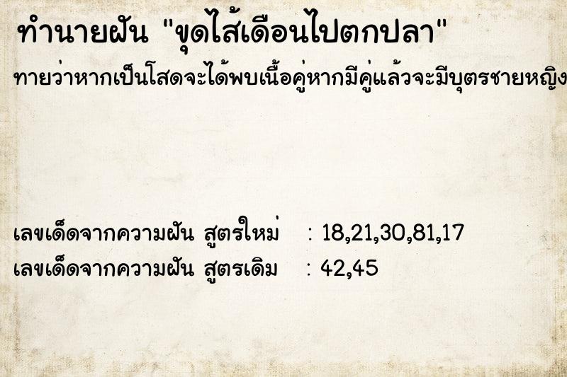 ทำนายฝันทำนายฝันขุดไส้เดือนไปตกปลา