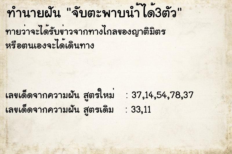 ทำนายฝันจับตะพาบนำ้ได้3ตัว ทำนายฝันทำนายฝันจับตะพาบนำ้ได้3ตัว