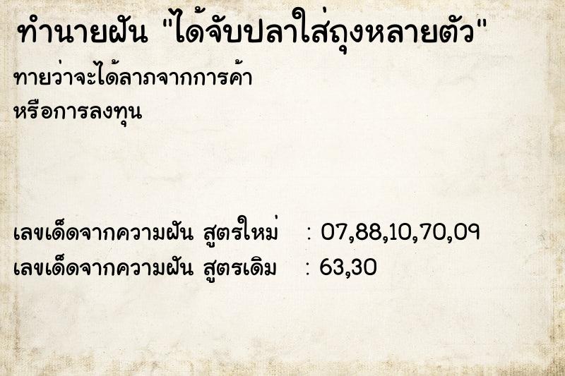 ทำนายฝันได้จับปลาใส่ถุงหลายตัว ทำนายฝันทำนายฝันได้จับปลาใส่ถุงหลายตัว