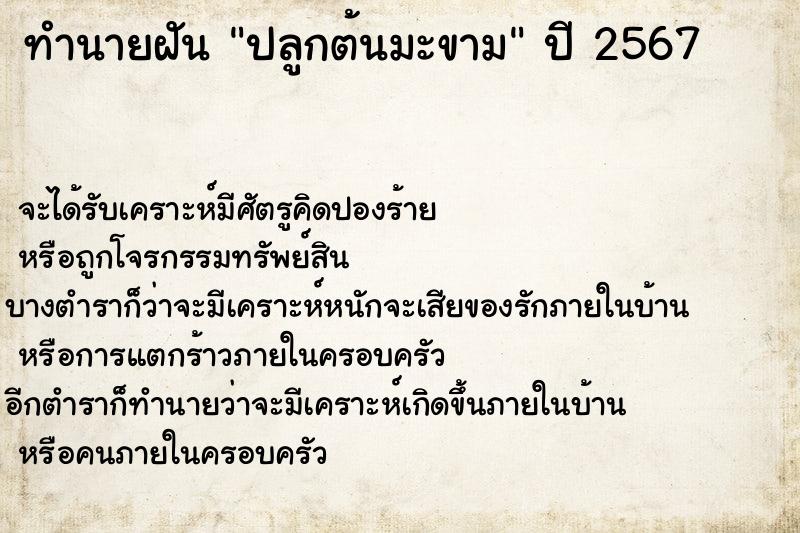 ทำนายฝัน ปลูกต้นมะขาม ทำนายฝัน ปลูกต้นมะขาม