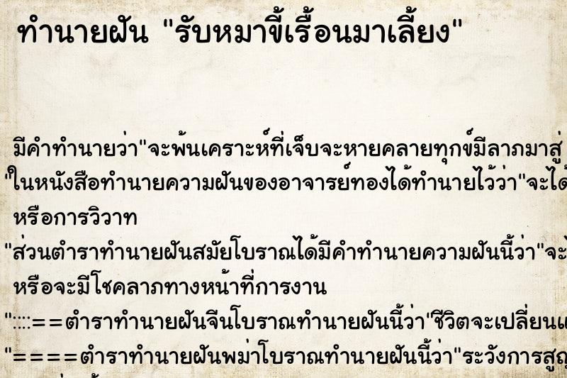 ทำนายฝันทำนายฝันรับหมาขี้เรื้อนมาเลี้ยง