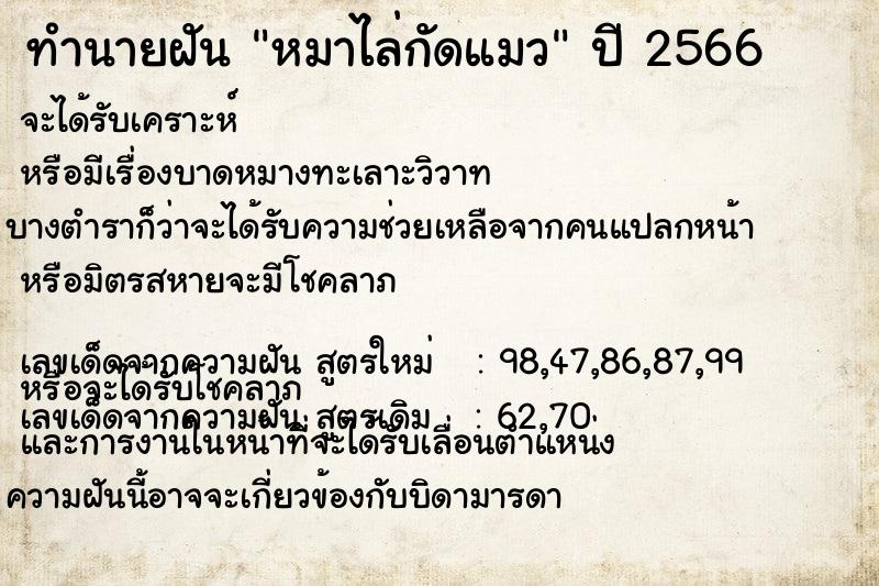 ทำนายฝัน หมาไล่กัดแมว ทำนายฝัน หมาไล่กัดแมว