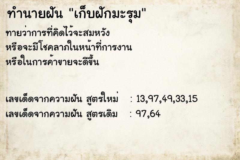 ทำนายฝัน เก็บฝักมะรุม ตำราโบราณ แม่นที่สุดในโลก