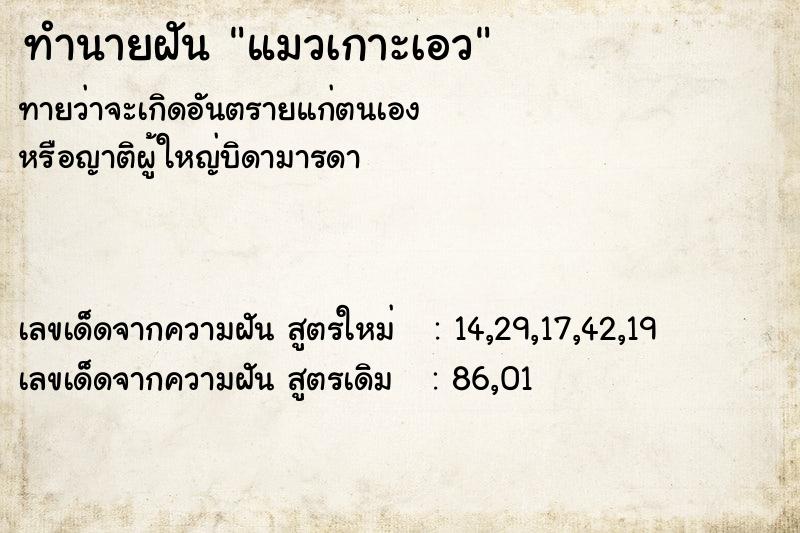 ทำนายฝันทำนายฝันแมวเกาะเอว