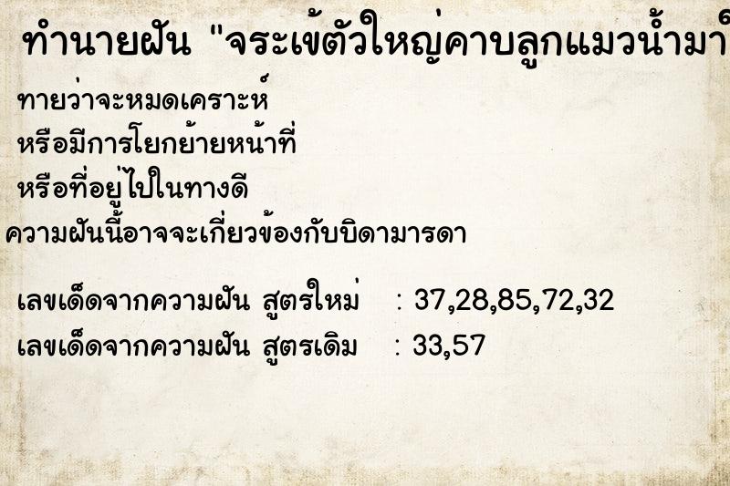 ทำนายฝันทำนายฝันจระเข้ตัวใหญ่คาบลูกแมวน้ำมาให้