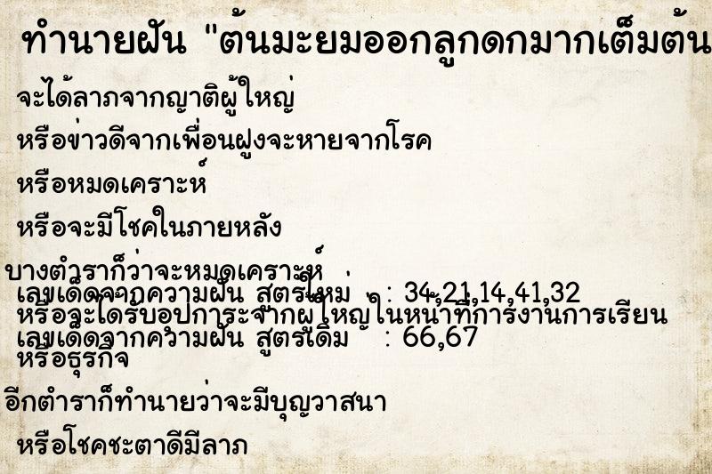 ทำนายฝัน ต้นมะยมออกลูกดกมากเต็มต้นเลย ทำนายฝัน ต้นมะยมออกลูกดกมากเต็มต้นเลย