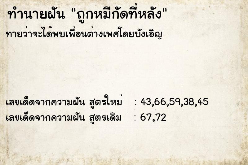 ทำนายฝันถูกหมีกัดที่หลัง ทำนายฝันทำนายฝันถูกหมีกัดที่หลัง