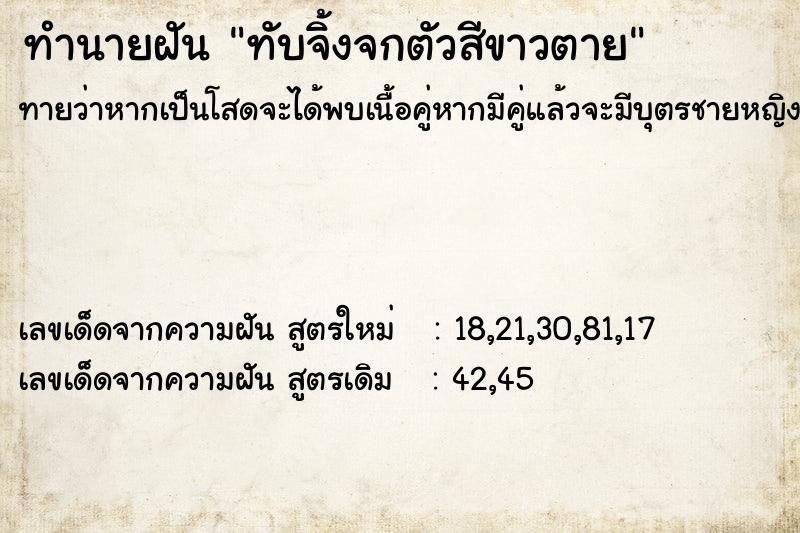 ทำนายฝันทำนายฝันทับจิ้งจกตัวสีขาวตาย