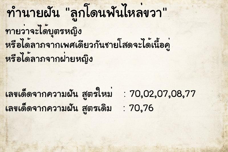ทำนายฝันทำนายฝันลูกโดนฟันไหล่ขวา