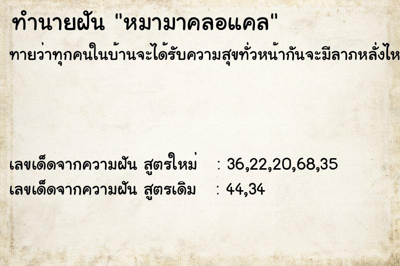 ทำนายฝันหมามาคลอแคล ทำนายฝันทำนายฝันหมามาคลอแคล