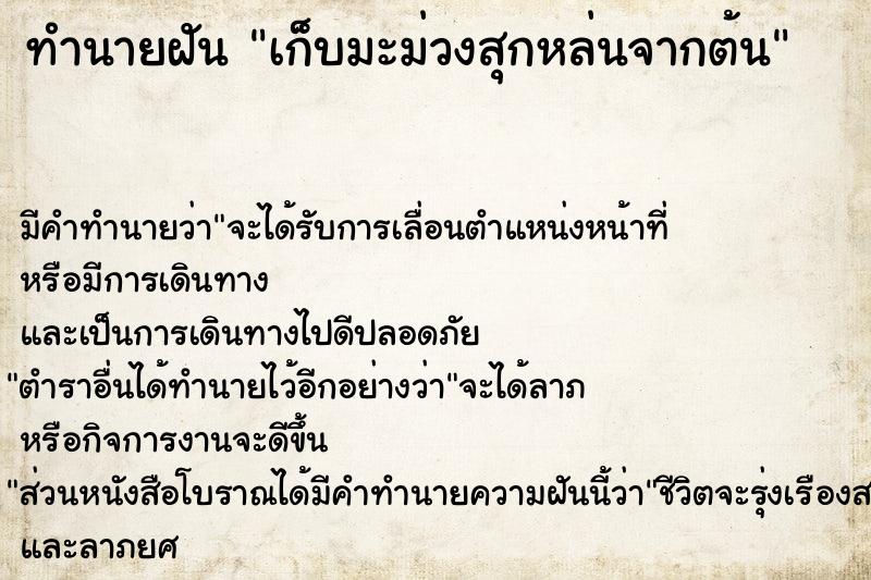 ทำนายฝัน เก็บมะม่วงสุกหล่นจากต้น ทำนายฝัน เก็บมะม่วงสุกหล่นจากต้น