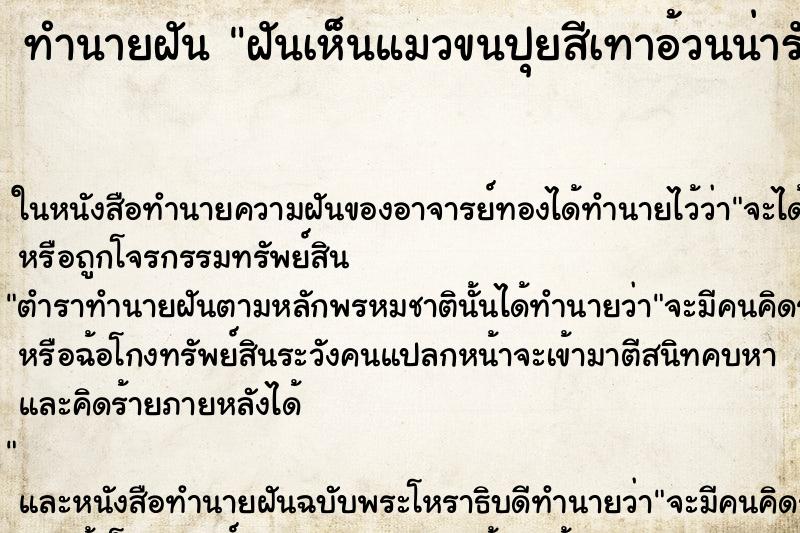 ทำนายฝันทำนายฝันฝันเห็นแมวขนปุยสีเทาอ้วนน่ารัก