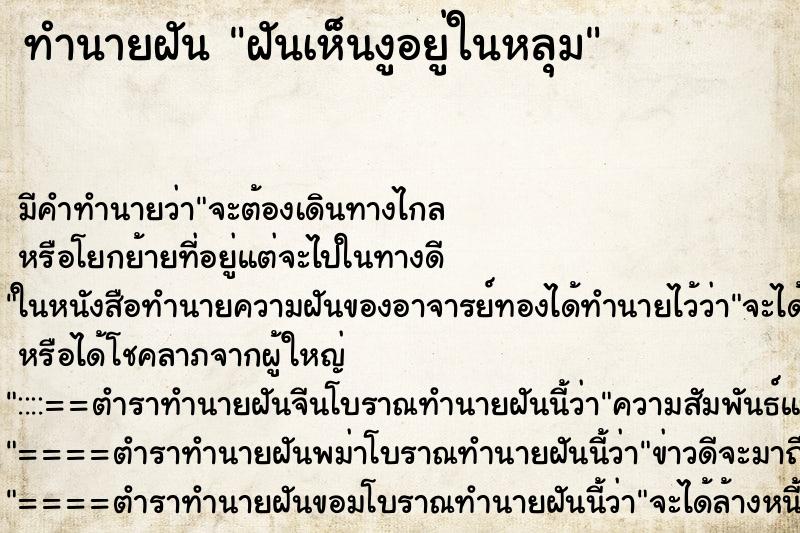 ทำนายฝันฝันเห็นงูอยู่ในหลุม ทำนายฝันทำนายฝันฝันเห็นงูอยู่ในหลุม