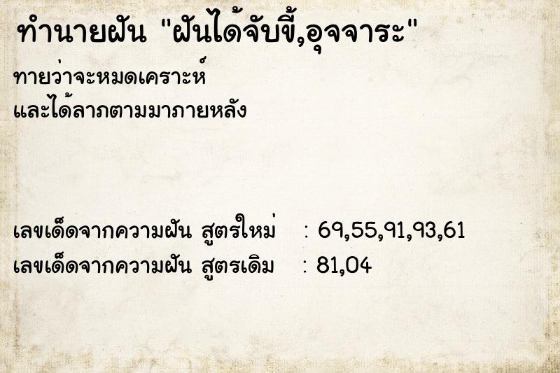 ทำนายฝันฝันได้จับขี้,อุจจาระ ทำนายฝันทำนายฝันฝันได้จับขี้,อุจจาระ
