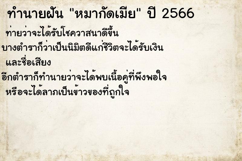 ทำนายฝันหมากัดเมีย ทำนายฝันทำนายฝันหมากัดเมีย