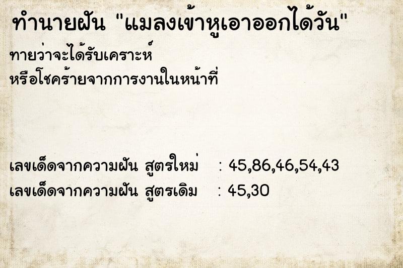 ทำนายฝันทำนายฝันแมลงเข้าหูเอาออกได้วัน