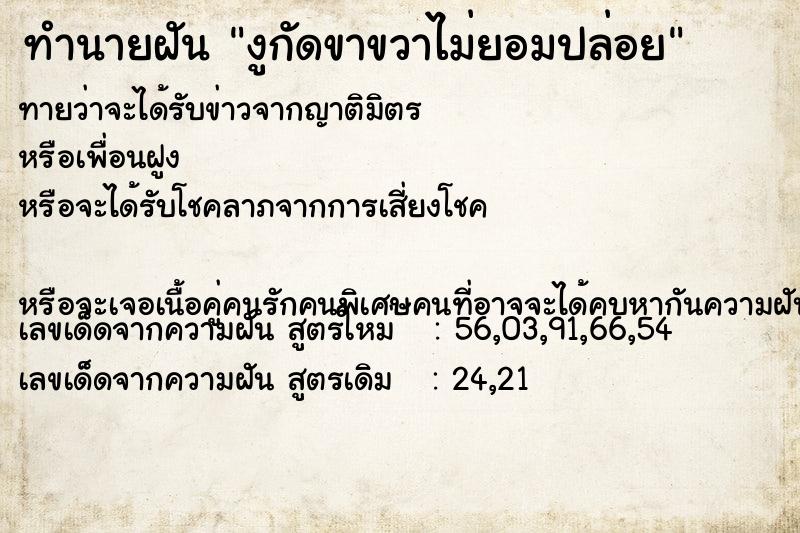 ทำนายฝัน งูกัดขาขวาไม่ยอมปล่อย ทำนายฝัน งูกัดขาขวาไม่ยอมปล่อย