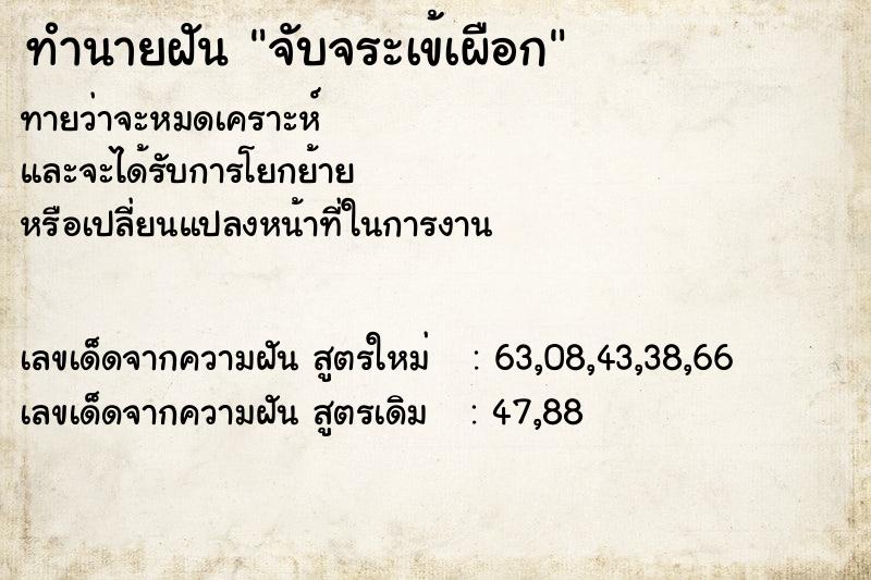 ทำนายฝันจับจระเข้เผือก ทำนายฝันทำนายฝันจับจระเข้เผือก