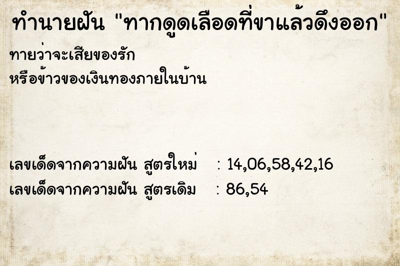 ทำนายฝันทากดูดเลือดที่ขาแล้วดึงออก ทำนายฝันทำนายฝันทากดูดเลือดที่ขาแล้วดึงออก