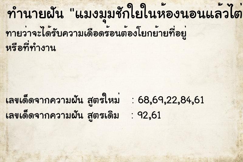 ทำนายฝันแมงมุมชักใยในห้องนอนแล้วไต่ลงมาใส่ตัวเรา ทำนายฝันทำนายฝันแมงมุมชักใยในห้องนอนแล้วไต่ลงมาใส่ตัวเรา