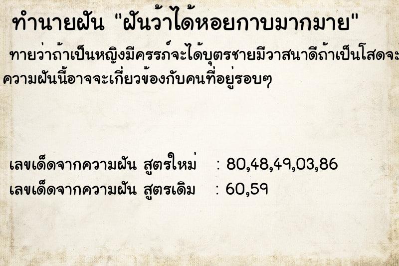 ทำนายฝันฝันว้าได้หอยกาบมากมาย ทำนายฝันทำนายฝันฝันว้าได้หอยกาบมากมาย