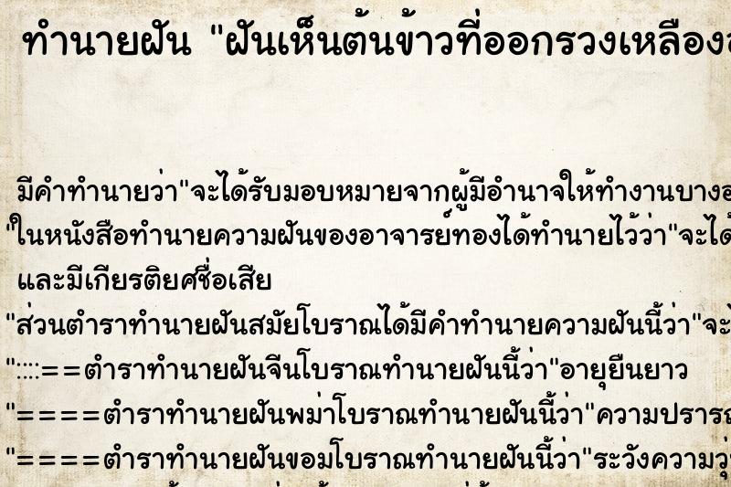 ทำนายฝัน ฝันเห็นต้นข้าวที่ออกรวงเหลืองอร่ามเต็มทุ่งนา ตำราโบราณ แม่นที่สุดในโลก