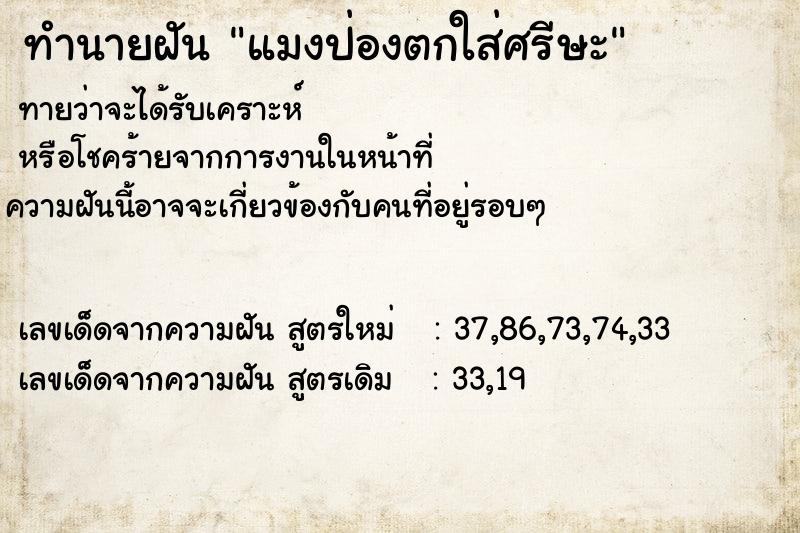 ทำนายฝันแมงป่องตกใส่ศรีษะ ทำนายฝันทำนายฝันแมงป่องตกใส่ศรีษะ