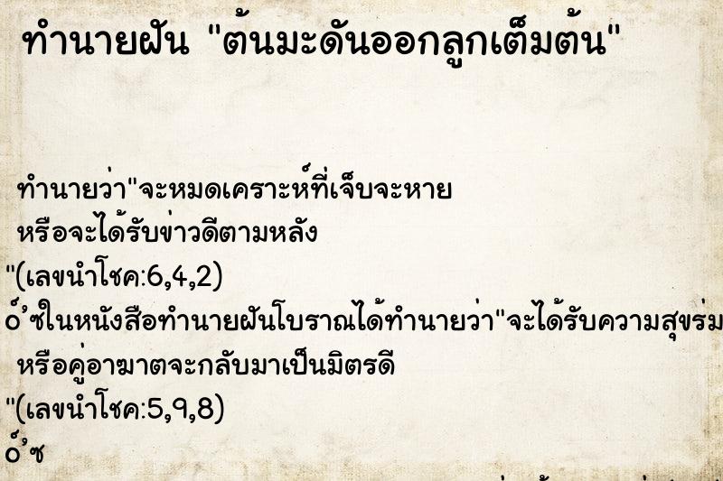 ทำนายฝันต้นมะดันออกลูกเต็มต้น ทำนายฝันทำนายฝันต้นมะดันออกลูกเต็มต้น