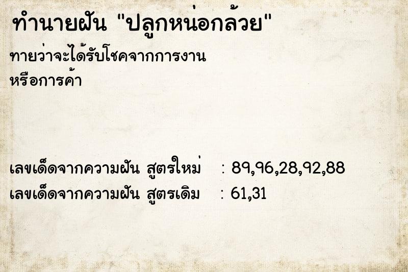 ทำนายฝัน ปลูกหน่อกล้วย ทำนายฝัน ปลูกหน่อกล้วย