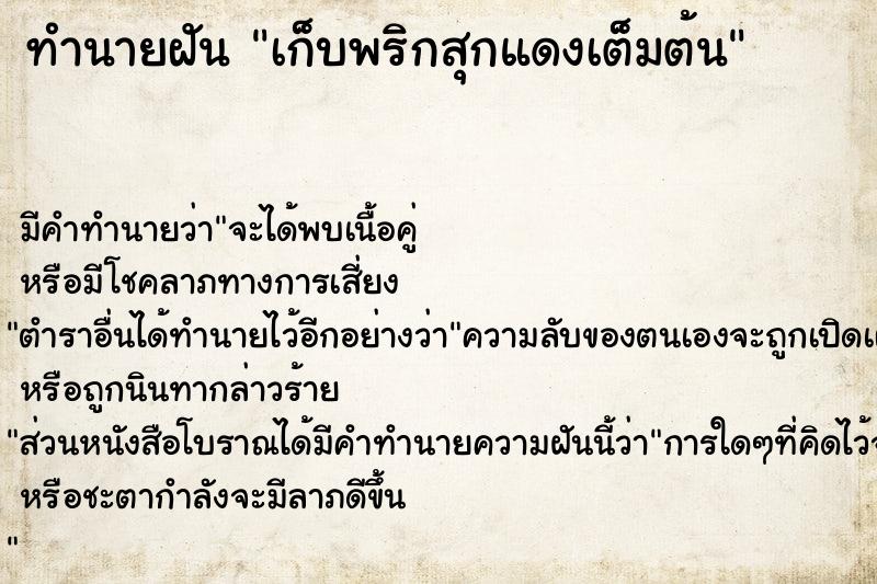 ทำนายฝันเก็บพริกสุกแดงเต็มต้น ทำนายฝันทำนายฝันเก็บพริกสุกแดงเต็มต้น