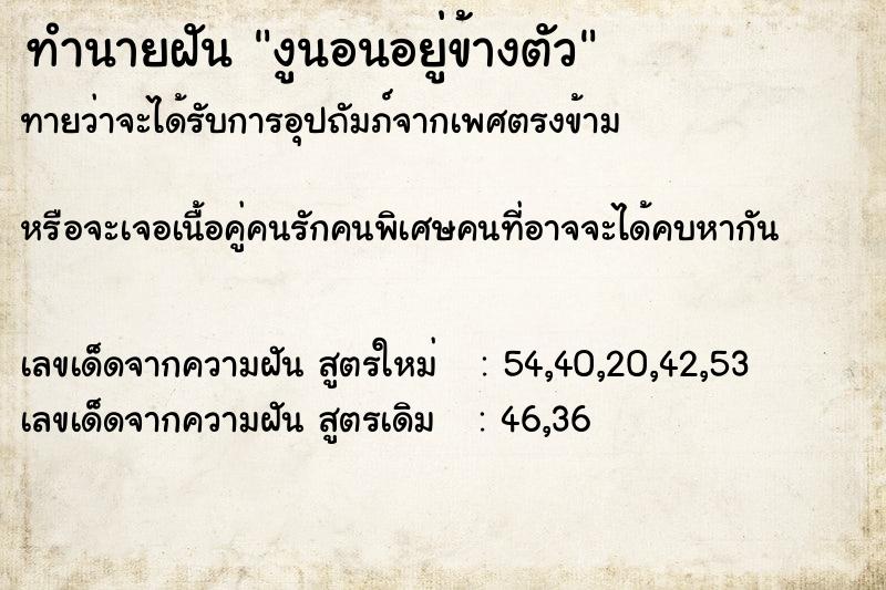 ทำนายฝันงูนอนอยู่ข้างตัว ทำนายฝันทำนายฝันงูนอนอยู่ข้างตัว